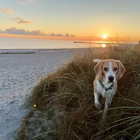 Ostseetoern Mit Terrasse Direkt Am アパート